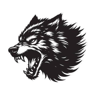Vahşi Kurt Başı Baring Siyah Siluet Vektör Çizim Tasarımı