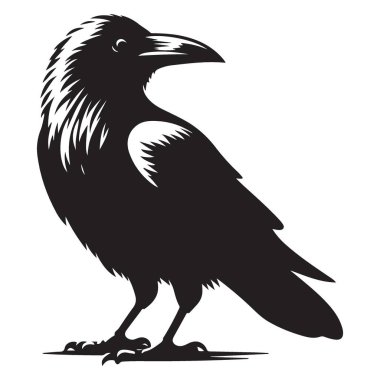 Siluet Vektörü Raven İllüstrasyon Gizem ve Zeka Sembolü