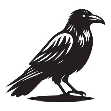 Ayrıntılı Kuzgun Silueti Vektör İllüstrasyonu Gizemi ve Entelektüeli Sembolize ediyor