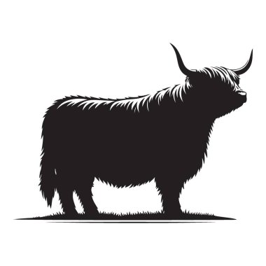 Majestic Highland İnek Çizim Vektörü Iconic Scottish Breed Silhouette