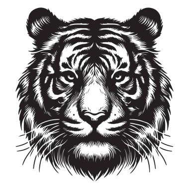 Çarpıcı Kaplan Yüzlü Vektör Portre Tasarım Elemanı