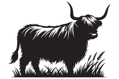 Siluet Highland İneği Grassy Field Illustration Vektör Tasarımı