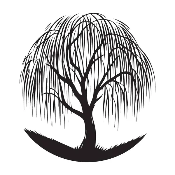 Ağlayan Söğüt Ağacı Silüeti Vektör Sanat İllüstrasyonu