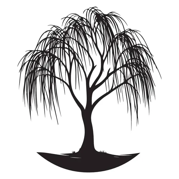 Ağlayan Söğüt Ağaç Vektörü Peyzaj ve Doğa Tasarımı İllüstrasyonu