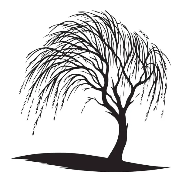 Ağlayan Söğüt Silueti Doğa Tasarımları için Vektör Sanatı