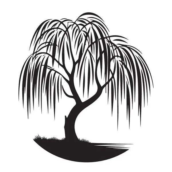 Huzur ve zarafeti temsil eden Ağlayan Söğüt Ağacı Vektörü