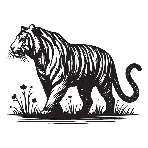 Grassy Field Doğa 'da Yürüyen Kaplan Görünümü