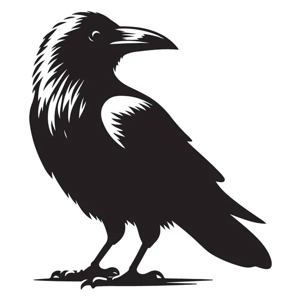 Siluet Vektörü Raven İllüstrasyon Gizem ve Zeka Sembolü
