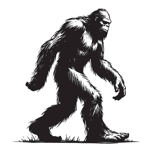 Bigfoot Silhouette Illustration The Legend of the Hairy Giant in the Woods