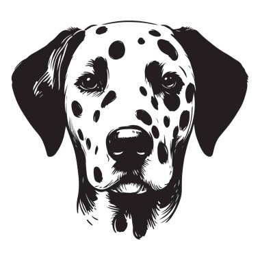 Dalmaçyalı Köpek Portre Vektör Sanatı Siyah Benekli Şirin Tasarım