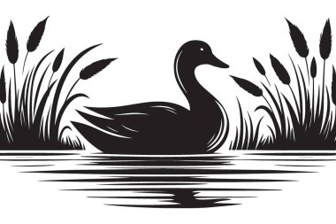 Sazan Vektör Tasarımı ile Havuz 'da Seçkin Kuğu Silueti Çizimi