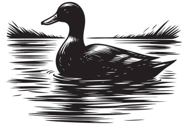 Sanatsal Siluet Ördek Su Yüzeyi Resimlerinde Sakince Yüzüyor