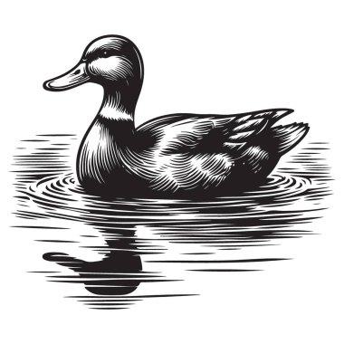 Kabartma Biçimli Ördek Yüzer Su Yüzey Vektörü Üzerinde Güzelce