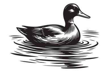 Yüzen Ördek Görünümü Su Yüzeyi Huzurlu Sahne