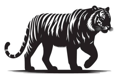 Majestic Tiger Walking Siluet Vector Illustration for Print and Design