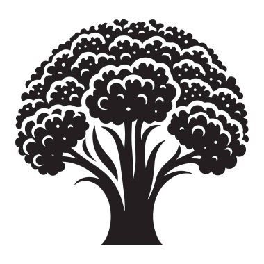 Yoğun Yaprakları ve Güçlü Dalları olan Görkemli Siluet Ağacı