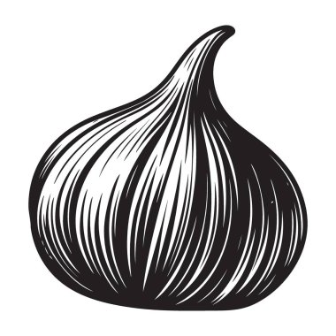 Mutfak Tasarımı Projeleri için Soğan Vektörü İllüstrasyonunun Silueti