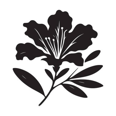 Çiçek Silueti Vektörü Azalea Çiçek İllüstrasyon Sanat Tasarımı Elementi