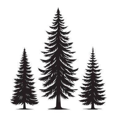 Grafik Tasarım için Zarif Çam Ağaçları Siluet Vektör Resimleri