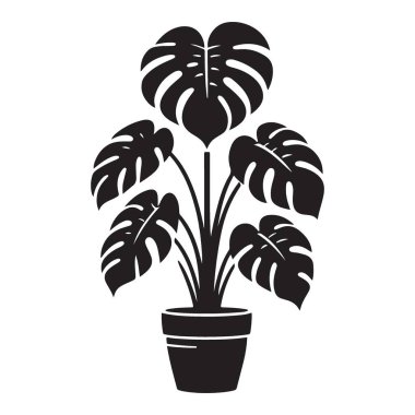 Monstera Bitki Silueti Görüntü Salon Dekorasyonu