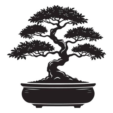 Zen Bahçesi ve Peyzaj Tasarımları İçin Tencere 'deki Bonsai Ağacı' nın Silueti
