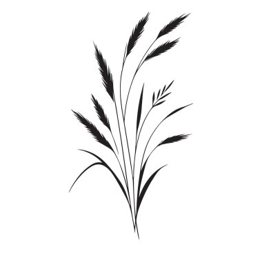 Zarif Çimenlerin Silueti Botanik Çiçek Vektör İllüstrasyonu