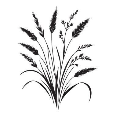 Vahşi Çimenler 'in Siluet Çizimi Botanik Bitki Tasarımı