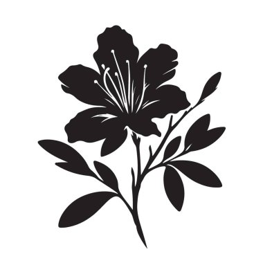 Botanik tasarımlar için güzel bir açelya silueti çiçek deseni çizimi