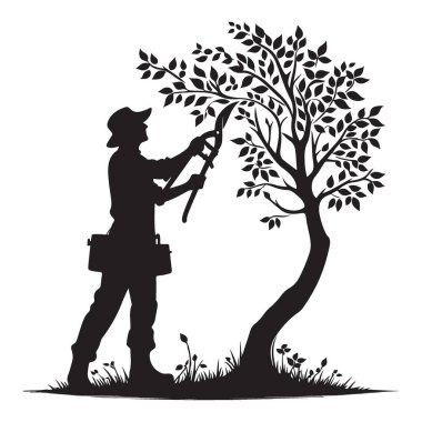 Bahçıvan Budama Ağacı Vektör Sanat Tasarımı Silueti