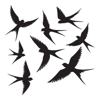 Kırlangıç Kuşlar Uçan Siluet Çizim Dizayn Elementleri