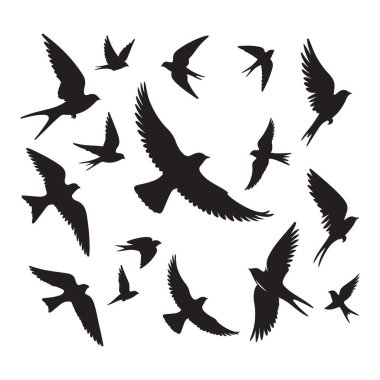 Silüet uçan kuş sürüsünü yutar grafik çizim koleksiyonu