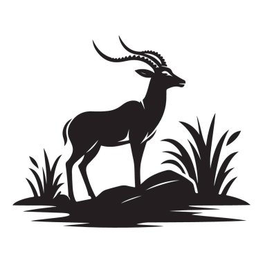 Springbok Doğal Afrika Vahşi Yaşam Sahnesinde Şık Duruş Grafikleri