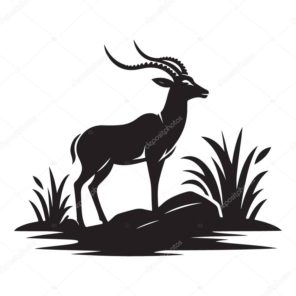 Springbok Standing Elegantly in Nature African Wildlife Scene Graphic