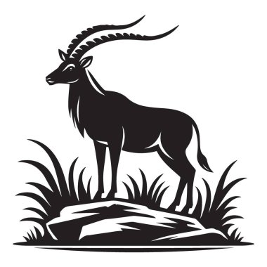 Görkemli Samur Antilobu Vektör İllüstrasyonu Doğal Yaşam Alanında Uzun Ayaklı