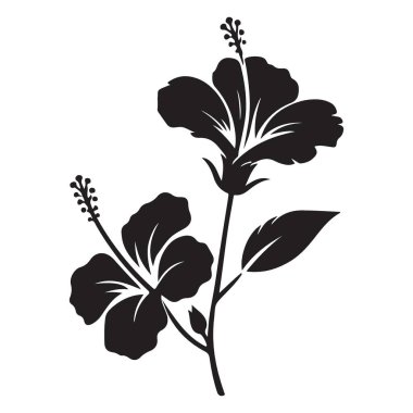 Tropikal amber çiçeği silueti vektörü güzel çiçek çiçeği grafiği