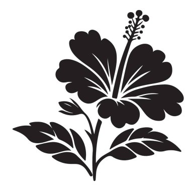 Botanik Tasarımlar için Zarif Siluet Hibiscus Çiçek Vektör İllüstrasyonu