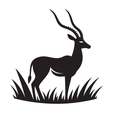 Görkemli Antilop Silueti Görünümü Grassy Savannah 'da Uzun Ayaklı
