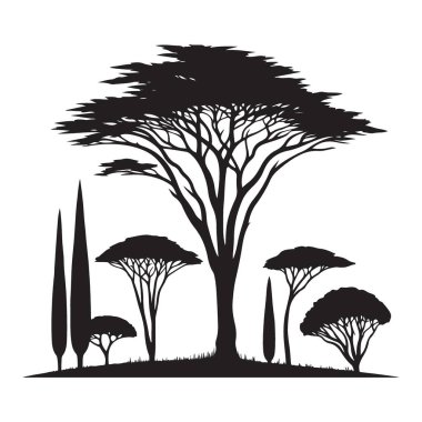 Siluet Ağacı Sahnesi Çeşitli Bitkiler Doğa Çizimleri Sanatı