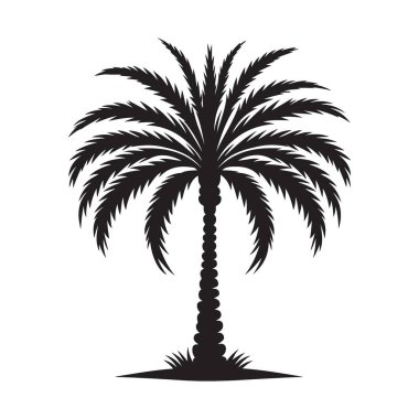 Görkemli Palmiye Ağacı Silüeti Tropikal Plaj Cenneti