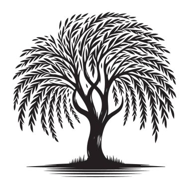 Görkemli Ağlayan Söğüt Ağacı Siluet Tasarım Projeleri için Vektör Sanatı