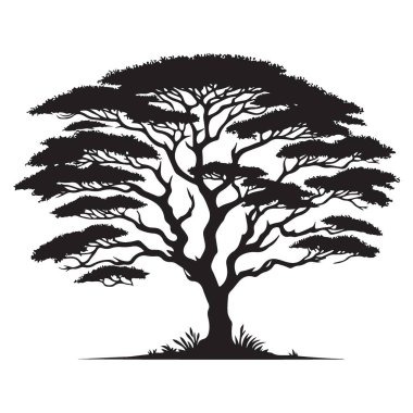 Peyzaj Tasarımı ve Sanat İçin Muhteşem Akasya Ağacı Vektörü Silüeti