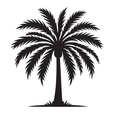 Görkemli Palmiye Ağacı Silüeti Tropikal Cennet Vektör Resimleri