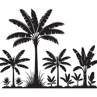Egzotik Tasarım İçin Muz Palmiyesi Silüet Vektörü