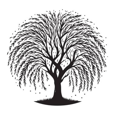 Ağlayan Söğüt Ağacı Silüeti Vektör İllüstrasyon Doğa Tasarımı