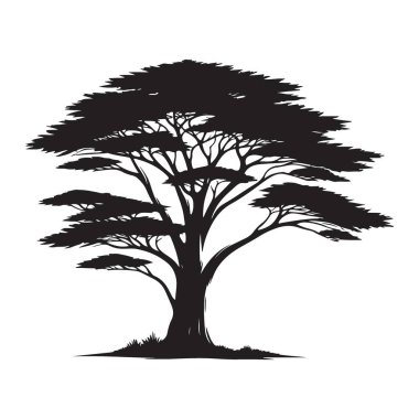 Afrika Akasya Ağacı Silüeti Vektör Görüntü Doğa ve Vahşi Yaşam