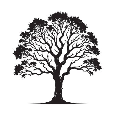Olgun Ağaç Silüeti Vektör Sanat Tasarımı Element Kaynağı