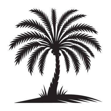 Egzotik Palmiye Ağacı Vektör Tasarımı Çizimsel Palmiye Yaprağı Silüeti