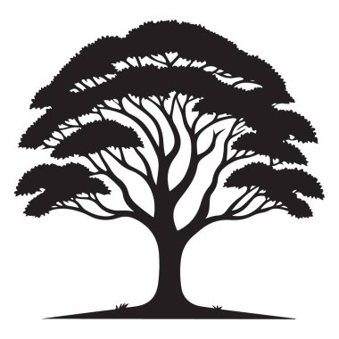 Görkemli Ağaç Görünümü Büyüme Doğa ve Zamansız Güzelliği Sembolize ediyor