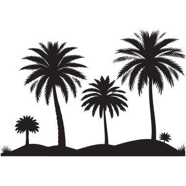 Tropik Palmiye Ağaçları Görüntü Yönlendirici ResimleriName