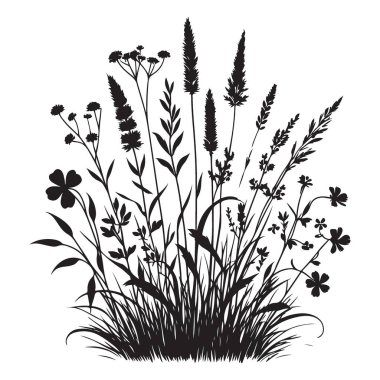 Çeşit çeşit Yaban Çiçeği Silüeti Meadow ve Bahçe Tasarımları